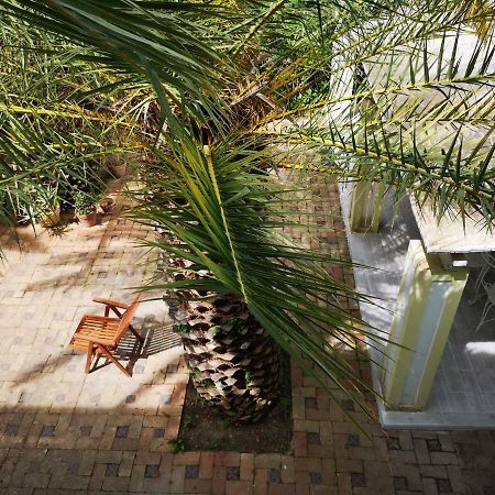 B&B La Salamandra Kitchengarden Forio di Ischia Kültér fotó