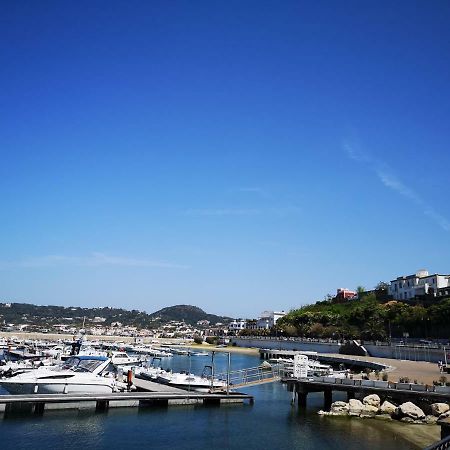 B&B La Salamandra Kitchengarden Forio di Ischia Kültér fotó