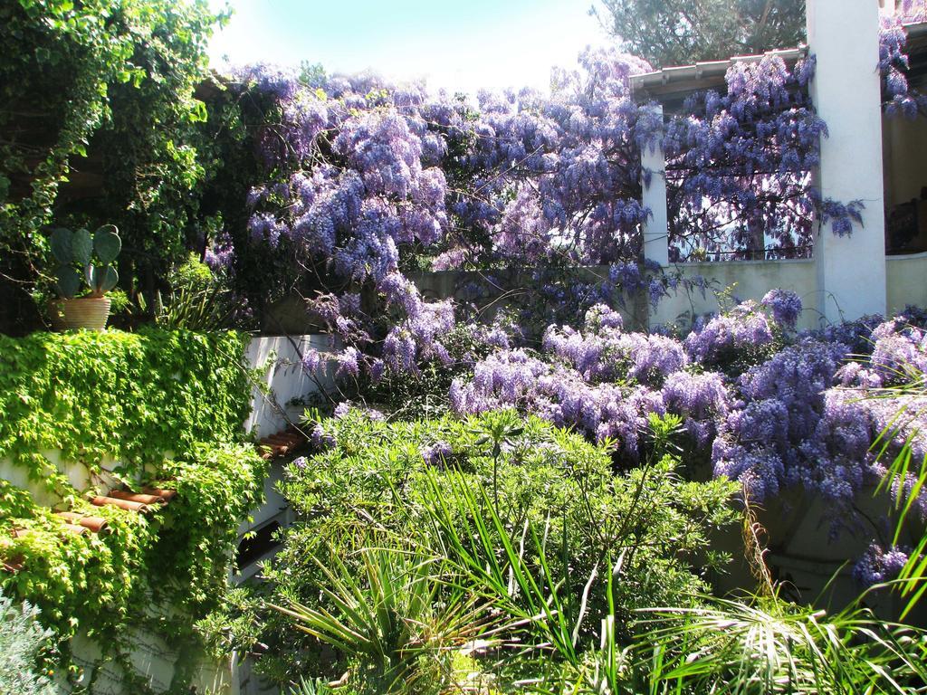 B&B La Salamandra Kitchengarden Forio di Ischia Kültér fotó