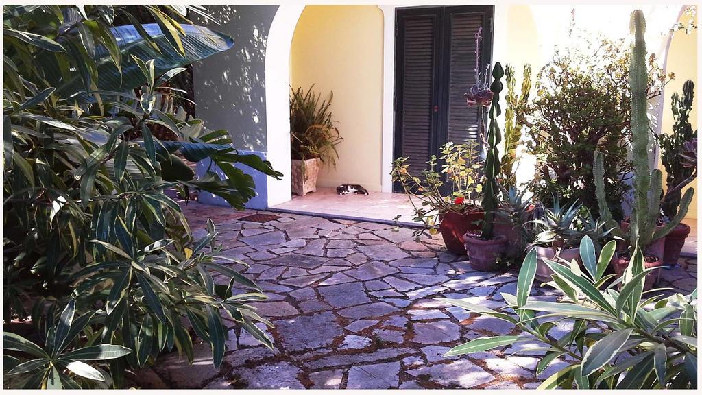 B&B La Salamandra Kitchengarden Forio di Ischia Kültér fotó