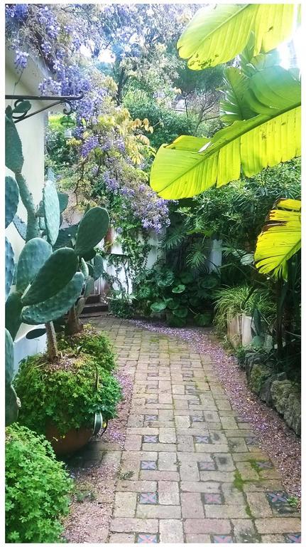 B&B La Salamandra Kitchengarden Forio di Ischia Kültér fotó