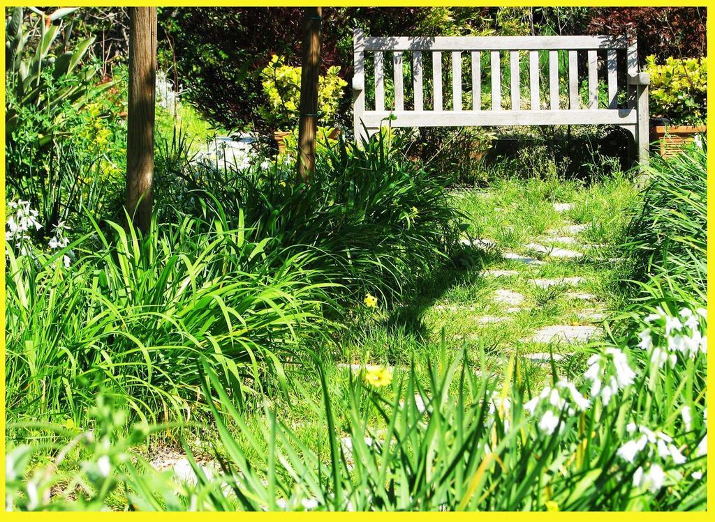 B&B La Salamandra Kitchengarden Forio di Ischia Kültér fotó