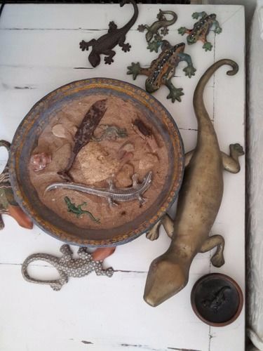 B&B La Salamandra Kitchengarden Forio di Ischia Kültér fotó
