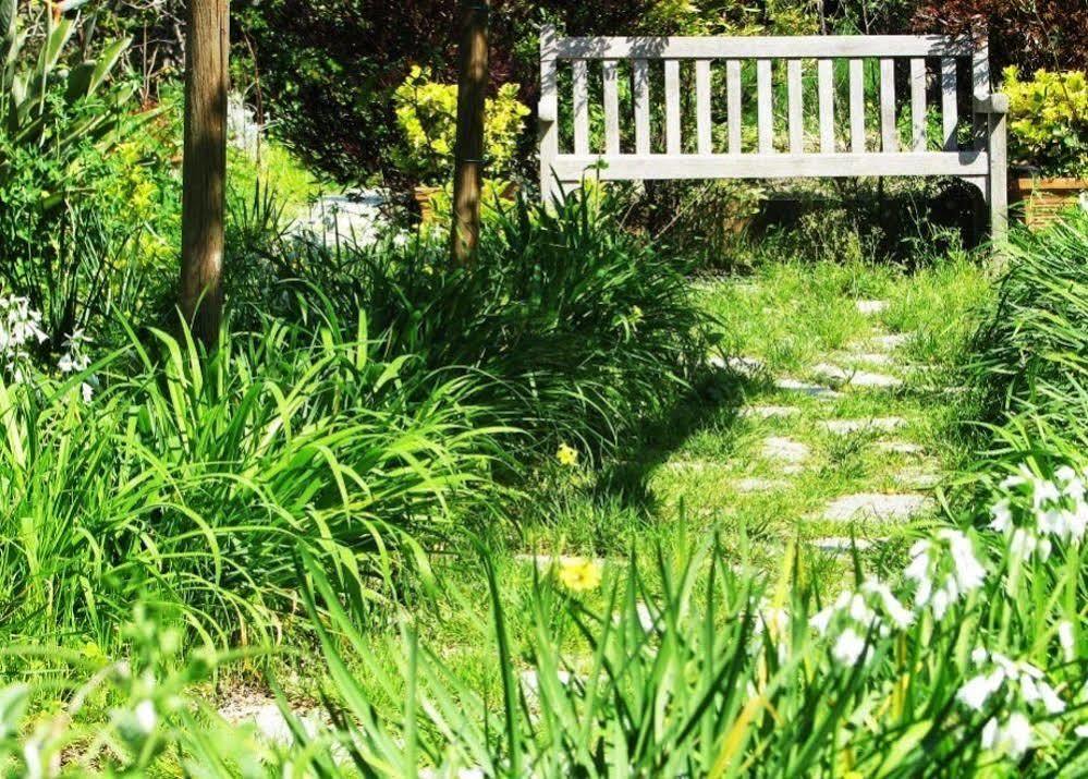 B&B La Salamandra Kitchengarden Forio di Ischia Kültér fotó
