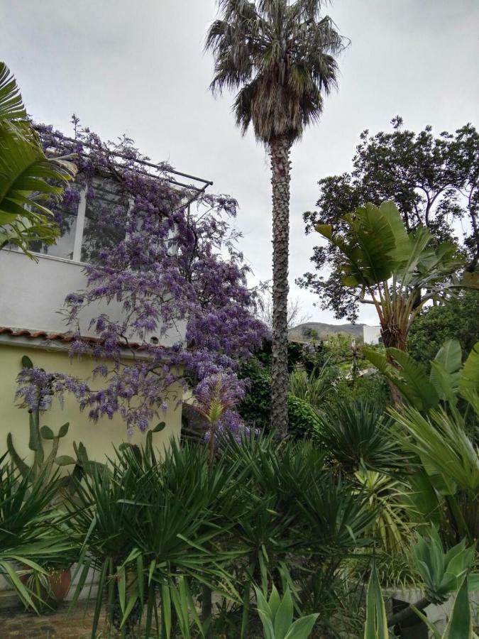B&B La Salamandra Kitchengarden Forio di Ischia Kültér fotó