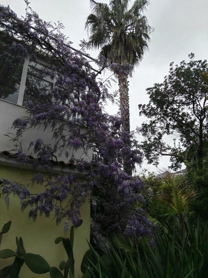 B&B La Salamandra Kitchengarden Forio di Ischia Kültér fotó