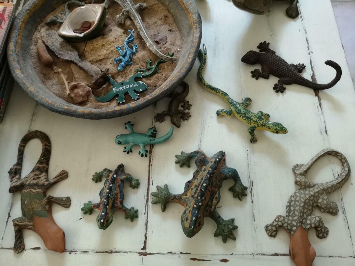 B&B La Salamandra Kitchengarden Forio di Ischia Kültér fotó